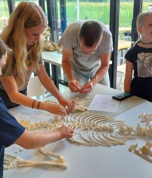Fries Museum op Paad